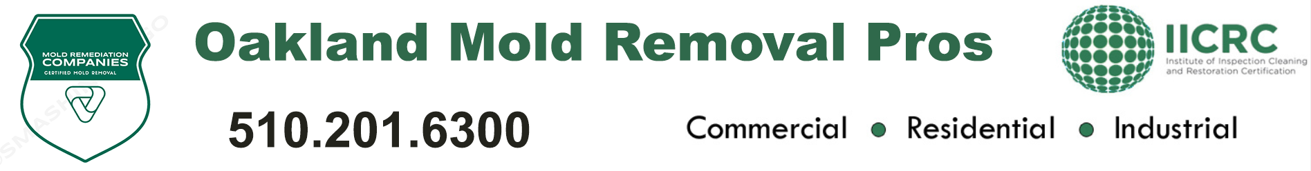 Oakland Mold Removal Pros